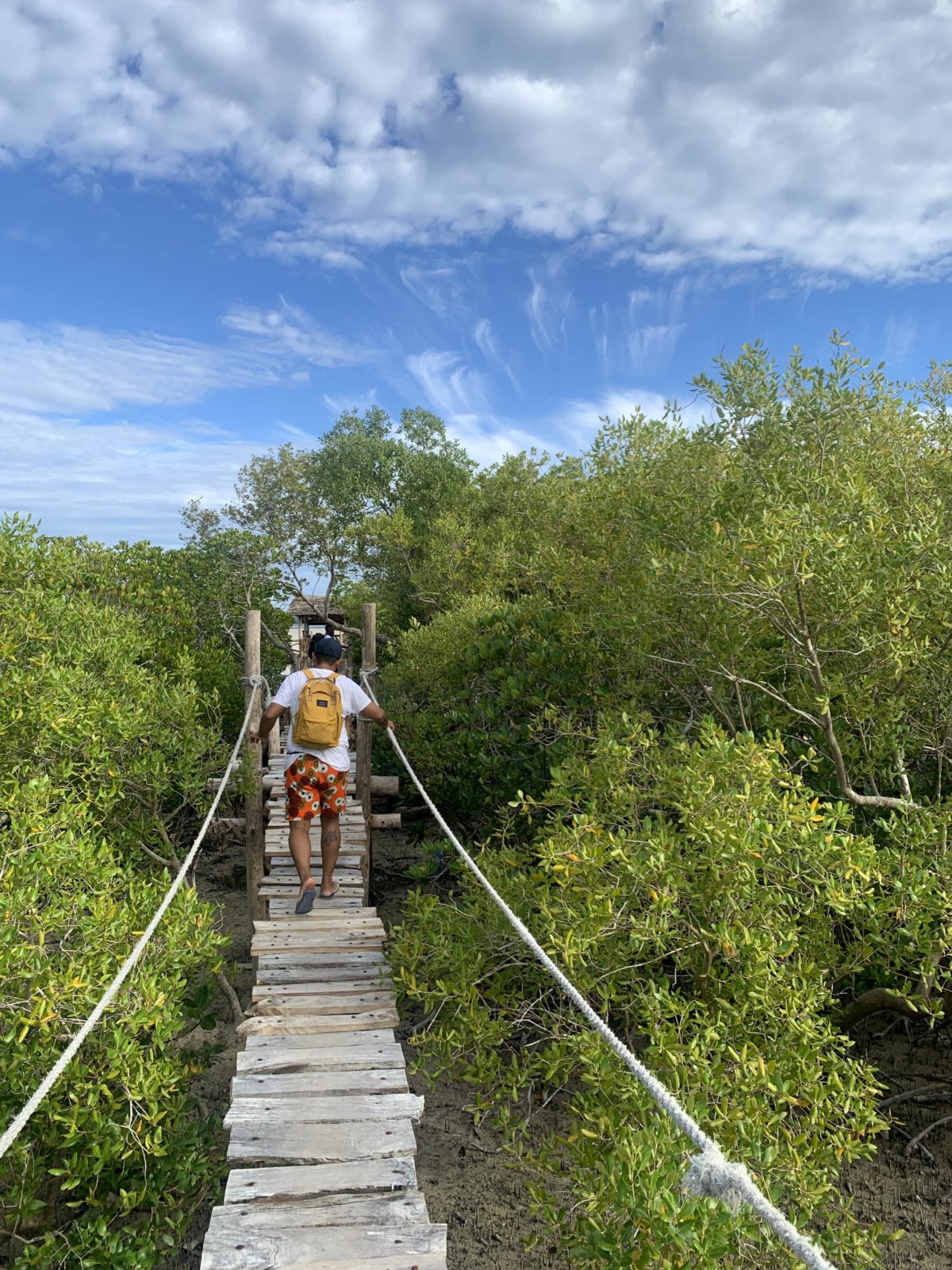 A young man is walking away from the frame, crossing a slat-wooden bridge in Kenya in the Mida Creek Community Village. There is greenery all around and the sky is blue with some white clouds.