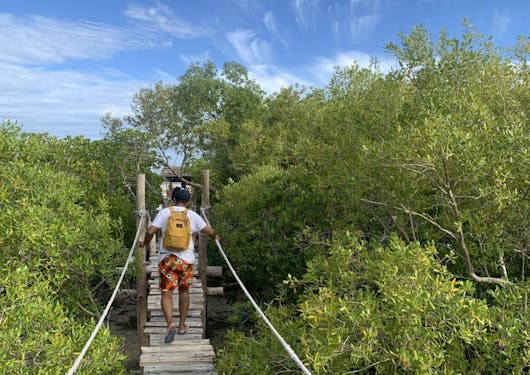 A young man is walking away from the frame, crossing a slat-wooden bridge in Kenya in the Mida Creek Community Village. There is greenery all around and the sky is blue with some white clouds.