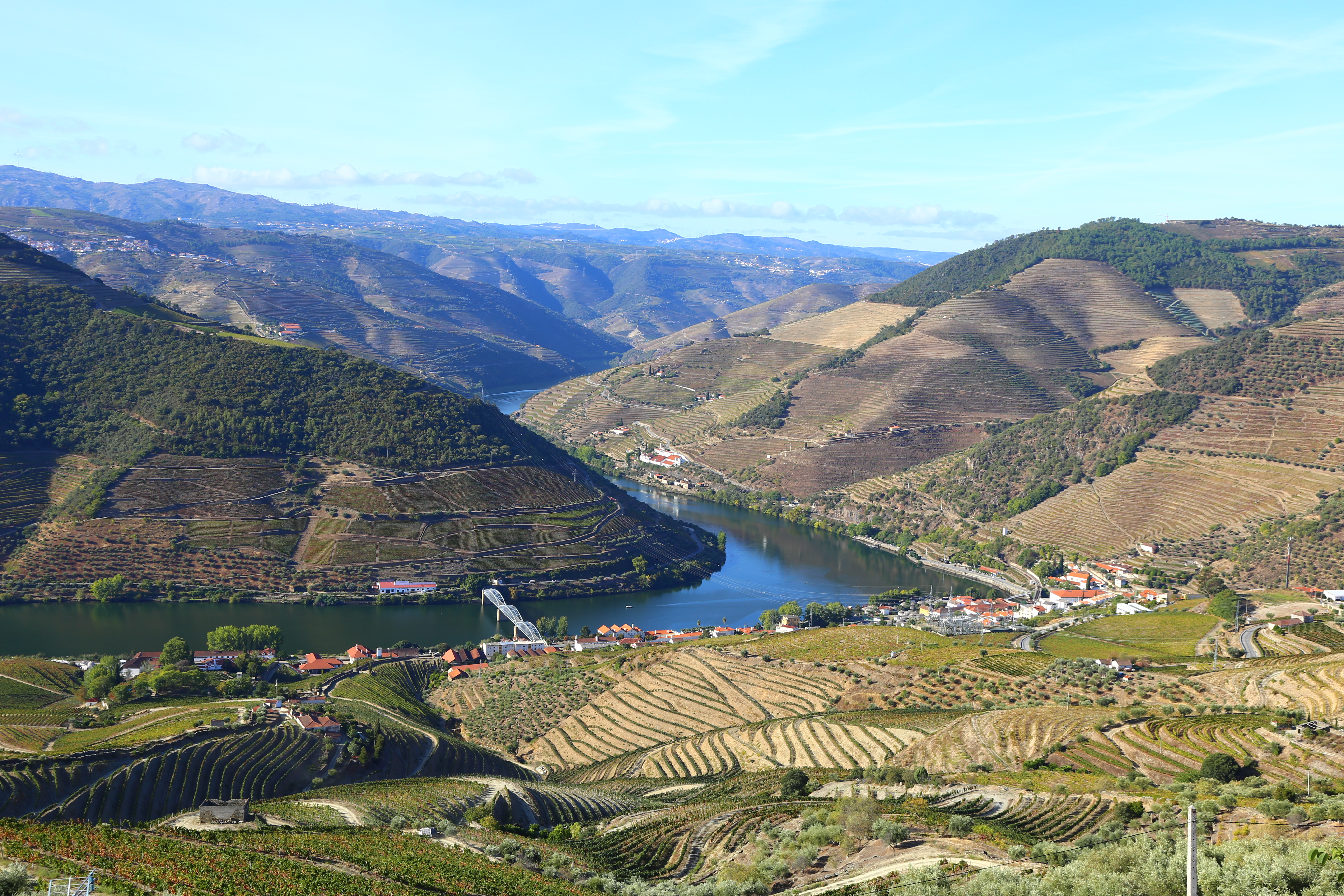 Patterned vineyards cover rolling hills in Portugal's Douro Valley; the river winds through and a white bridge is in the distance.