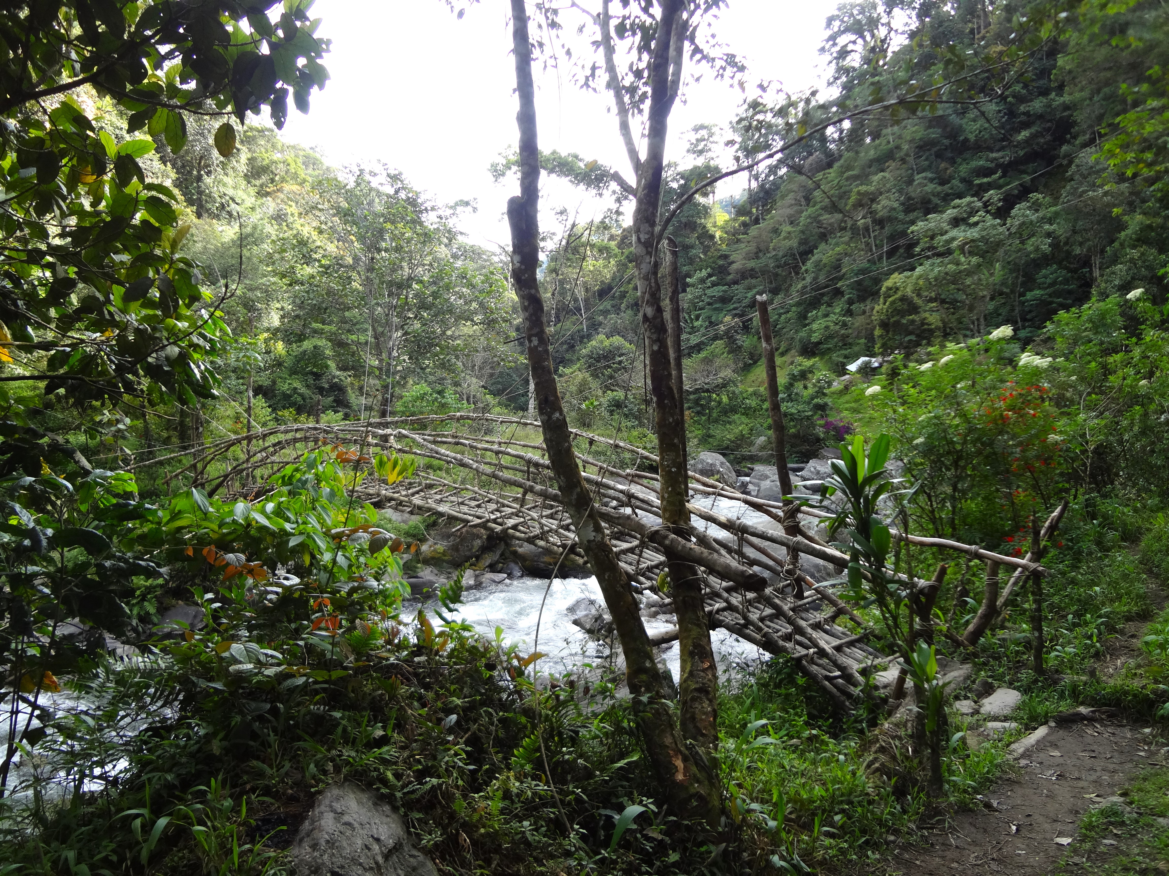 A wooden bridge crossing a gushing river is shown amidst the jungle along the Kokoda Track in Papua New Guinea.