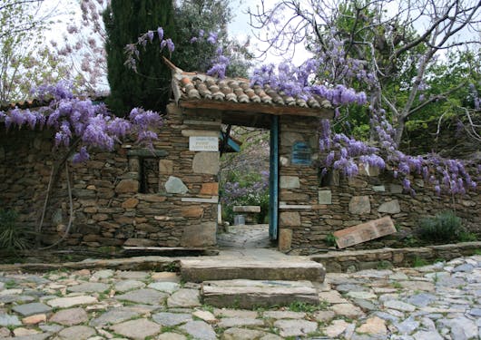Purple flowers (wisteria vines) go along the top of an open doorway with stone walls on either side and a stone floor in front.