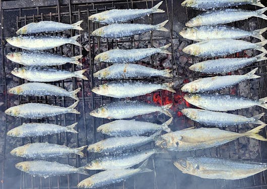 3 rows of about 8 sardine fish each rest over an open flame on a wire grill rack. Portugal.
