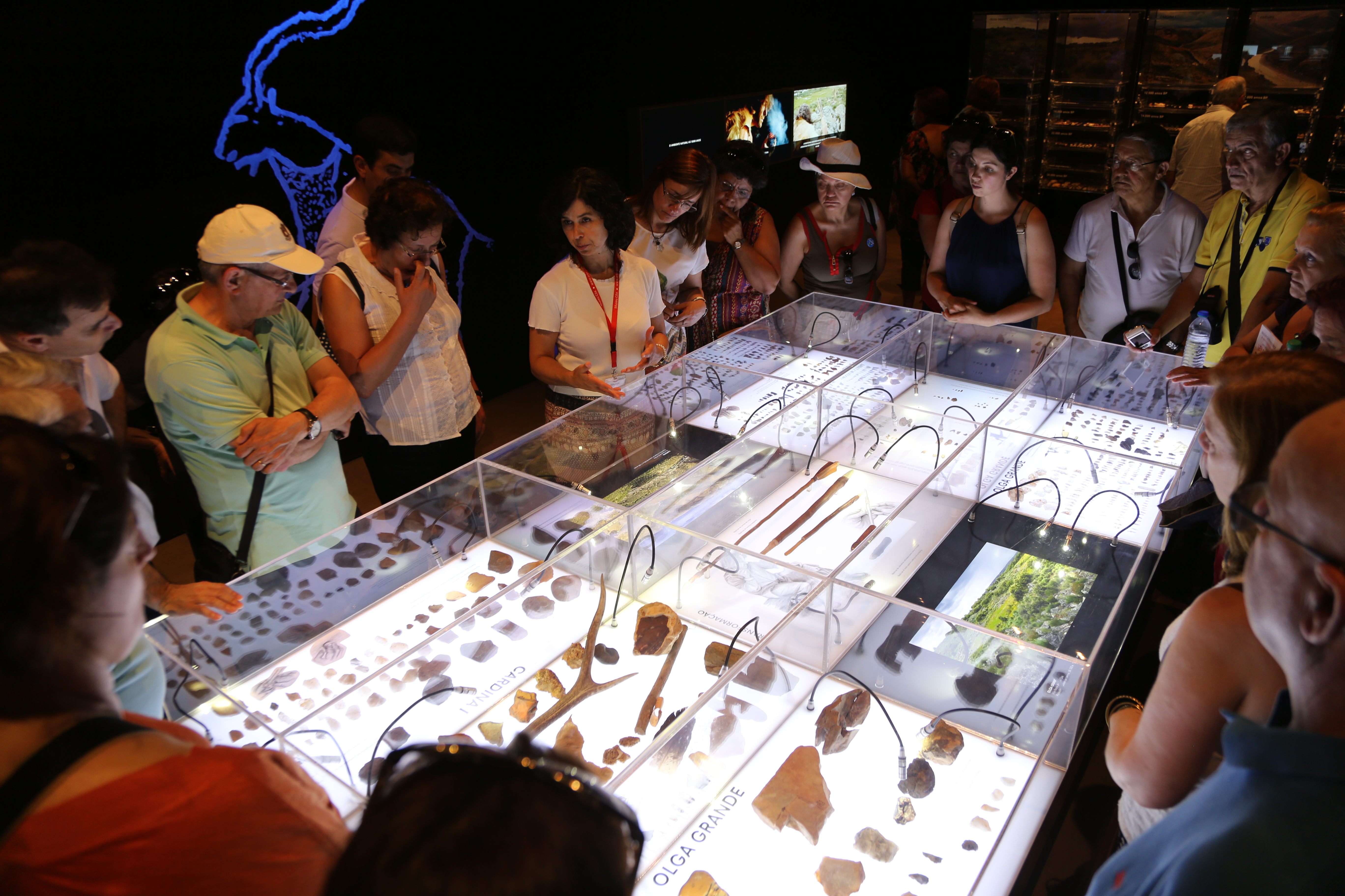 A group of Caucasian adults stand around a glass display case listening to a museum guide at the Coa Museum in Portugal.