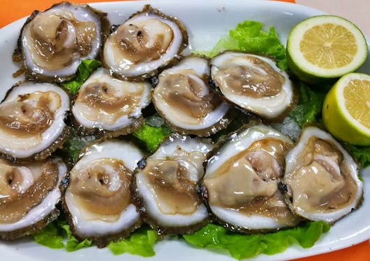 A plate of fresh oysters is shown, which walkers along Portugal's Luxury Coastal Camino route can enjoy.