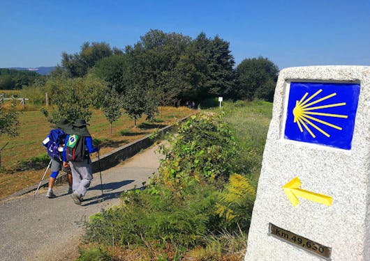 A blue and yellow Camino sign in the emblematic Saint Jacques scallop symbol points the way along a paved road, down which a couple of adult walkers are casually making their way down.