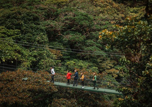 Several people are shown in the distance on a Sky Walk suspension bridge going through the mystical cloud forest in Costa Rica.
