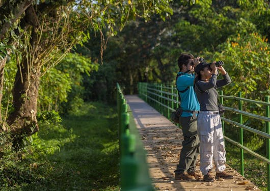 Two adults stand on a bridge in a dense forest looking out with binoculars in Costa Rica.