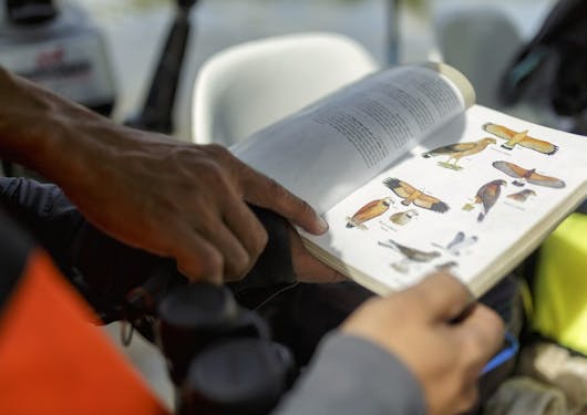 A guide points out different bird species in an avian guidebook in Costs Rica.