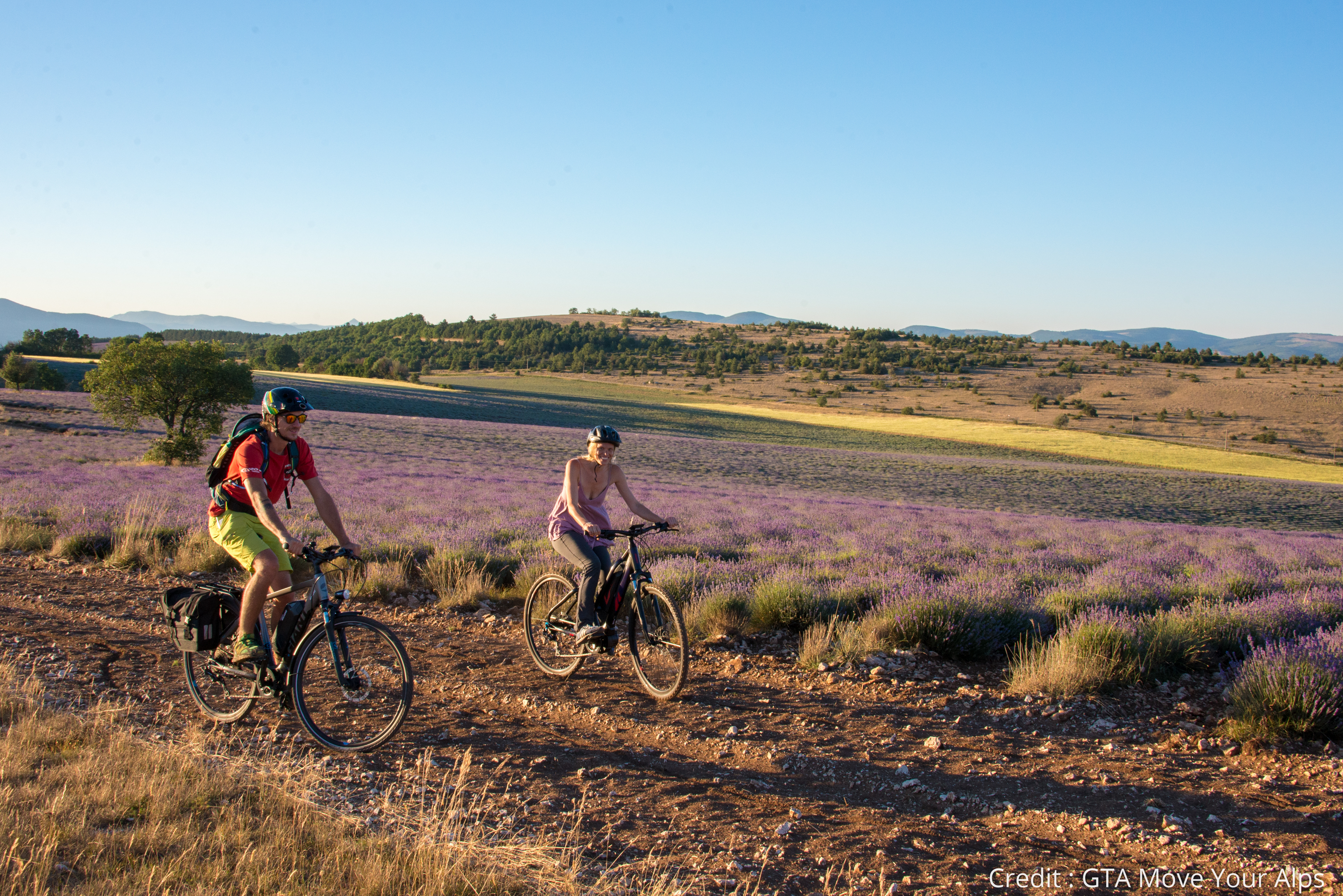 Two bikers cycle along a dirt path at sunset in France with a Provencal lavender field behind them. This is in Provence, France on a sunny day on a sustainable cycling tour.