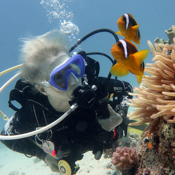 A scuba diver is shown in light blue water facing small, colorful orange and black fish in Egypt with a coral reef nearby.