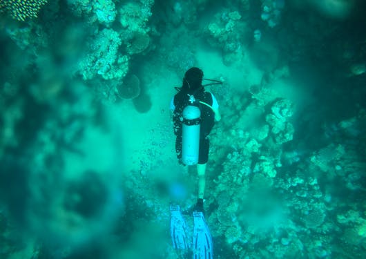 A scuba diver in Egypt is seen from above in clear teal water amidst coral reefs.