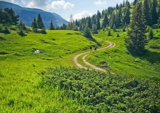 Two hikers are shown in the distance on a curving dirt path surrounded by green grass and trees in the Devoluy Massif area of the southern French Alps on a sunny day.