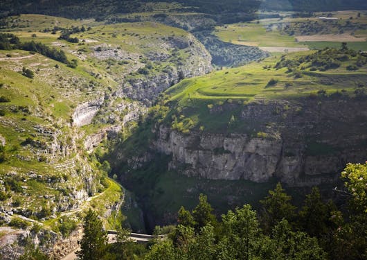 The Gorges of Rif in the Devoluy Massif area of the southern French Alps are shown from up above, with green moss covering its limestone facades on both sides.