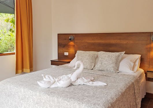 A room is shown at the accommodation I the Galapagos Islands for the Scuba Dive & Stay Certification Package. It's a double bed with light sheets and a brown headboard, with a window and greenery to the left.