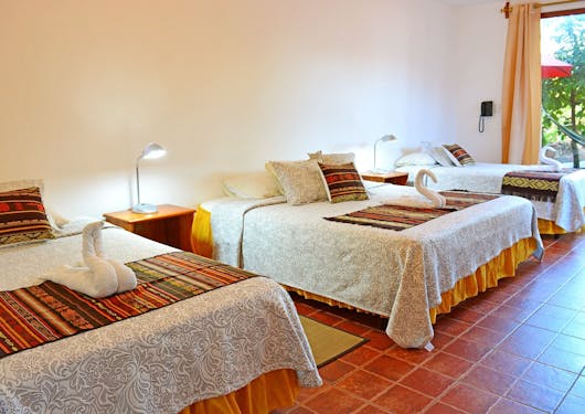 A room is shown at the accommodation I the Galapagos Islands for the Scuba Dive & Stay Certification Package. It's a triple room with 3 beds, with a window and greenery to the right.