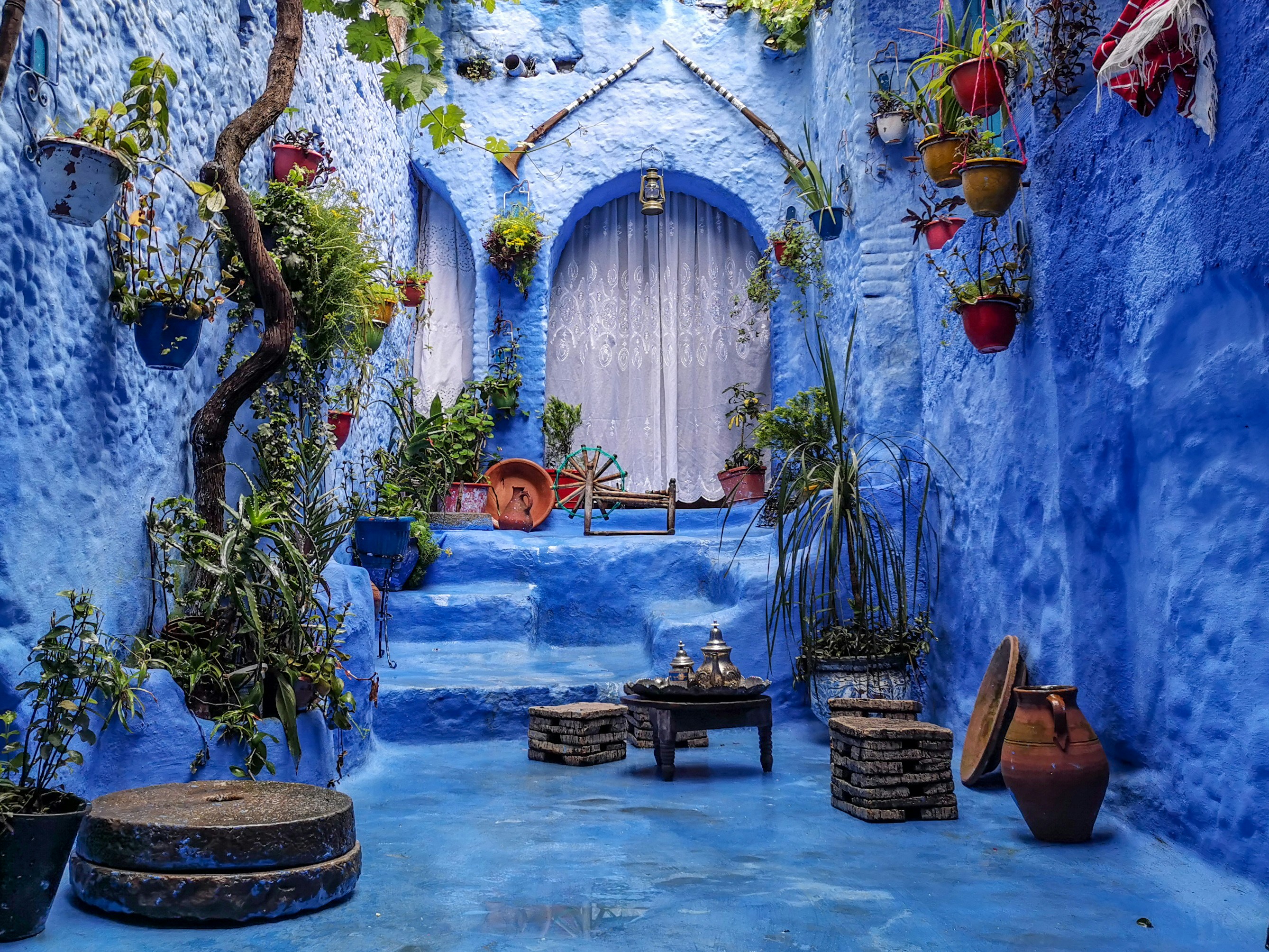 The Blue City of Morocco, Chefchaouen, is shown with a walkway leading up to a few steps in front of a light grey door. Green plants hand from the sides.