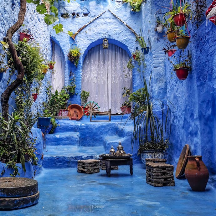 The Blue City of Morocco, Chefchaouen, is shown with a walkway leading up to a few steps in front of a light grey door. Green plants hand from the sides.