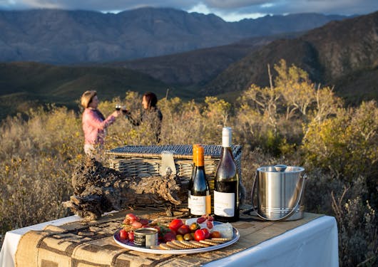 Wildehondkloof Farm, picnic in the bush