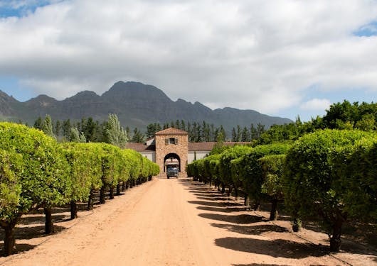 Stellenbosch Farm
