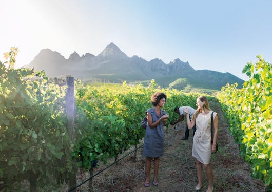 Ladies in the Winelands