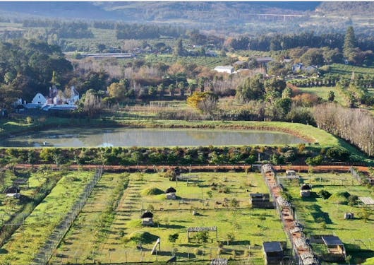 An aerial view of the cheetah sanctuary in South Africa, it looks like a big green park.