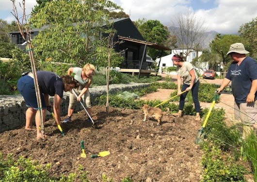 Four volunteers at the Cheetah Sanctuary in South Africa help with gardening.