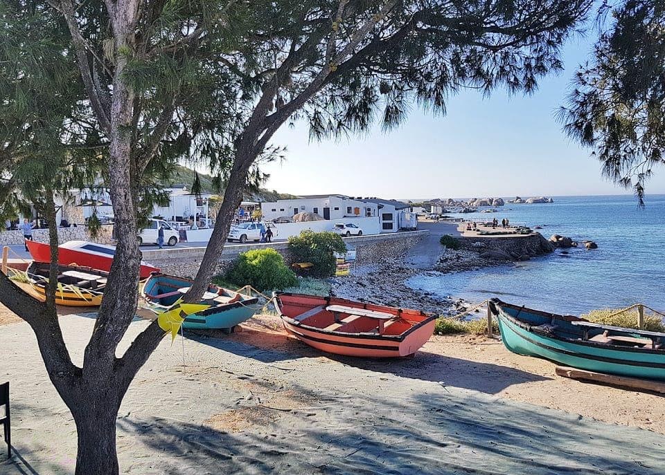 Small, colorful fishing boats in small villages on the West Coast of South Africa. There's a tree in the foreground and it's a sunny day.