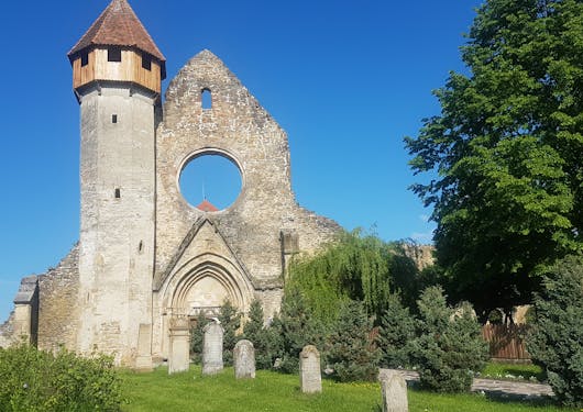 The ruins of a the Cârța Cistercian Monastery in Romania is shown, with a blue sky backdrop and green trees to the right.
