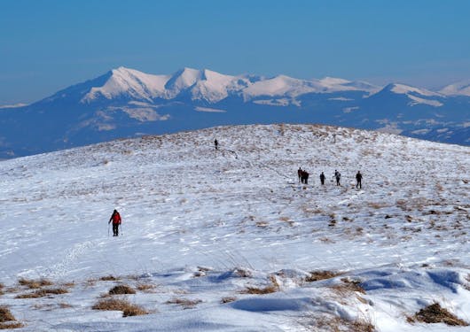 A group of people on snowshoes stand on a snowy plateau in Romania's Carpathian Mountains.