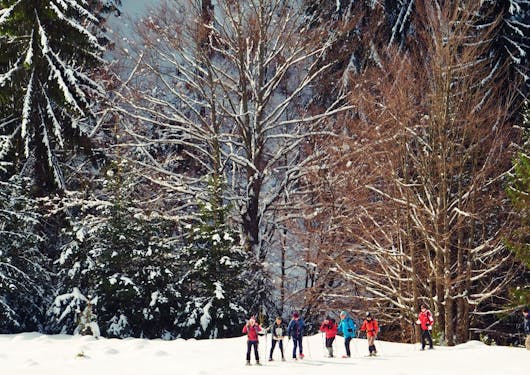 A group of 7 people on snowshoes stand in front of a forest in Romania's Carpathian Mountains.