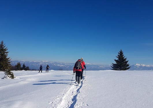 A person snowshoes through fresh snow in the Romanian Carpathian Mountains on a blue sky winter day. A few trees are in the background.