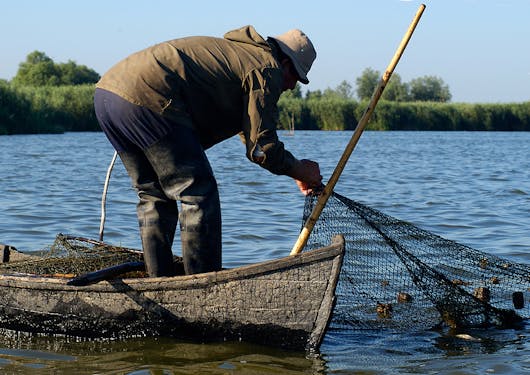 A fisherman pulls in a net while standing on his boat on Romania's Danube Delta River.