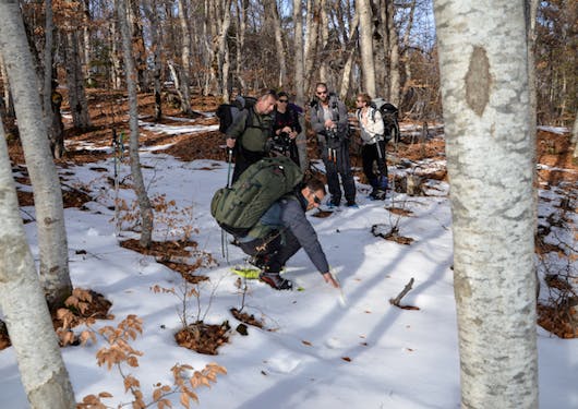 An expert guide kneels down in a light dusting of snow to explain to onlookers about wolf tracks in a sparse forest near the French Alps.
