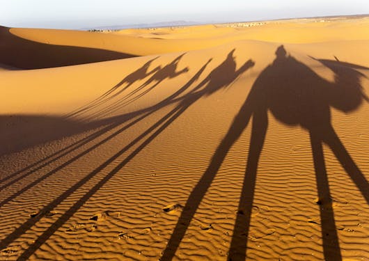 Reflections of camel trekkers atop camels is shown at sunset in the Moroccan Sahara Desert sand dunes.