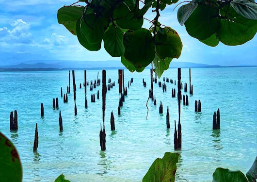 Crystal clear light blue waters are shown in Costa Rica, with green foliage hanging from above in the foreground.