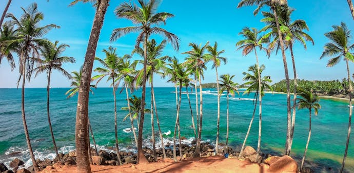 Palm trees on a golden beach shore are shown from the top of Coconut Tree Hill in Mirissa, Sri Lanka.