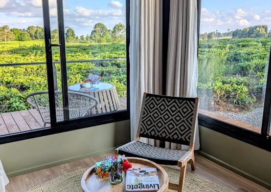 The view of tea plantations from a room of a pod accommodation in Kenya.