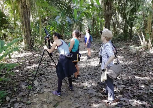 A group of 5 adults stand in a Costa Rican forest on a birtwatching tour, gazing upward to the trees with one peering through a set of binoculars on a tripod.