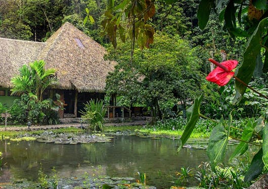 The accommodations of an eco lodge in Costa Rica are shown from eye level on the other side of a small pond.