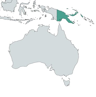 The country of Papua New Guinea is highlighted in teal on a world map of Oceania.