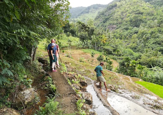 A couple of adult trekkers along the Pekoe Trail in Sri Lanka stop to watch a tea worker in the foothills.
