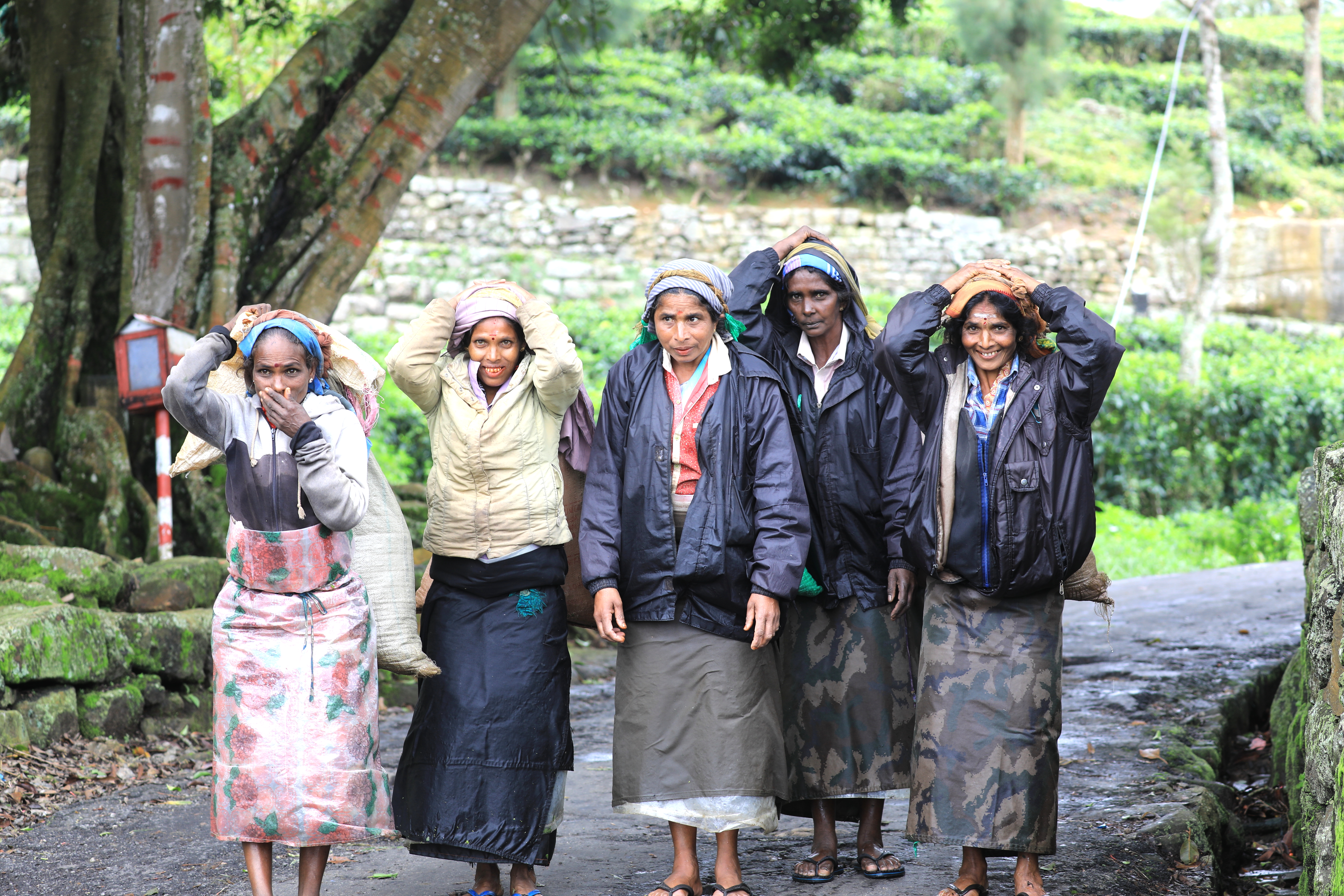 A group of 5 local Sri Lankan women who are tea workers stop to smile while holding their rucksacks full of their plucked tea harvests behind them.