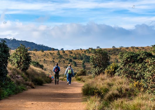 Two trekkers walk along a flat dirt path through the Horton Plains along the Pekoe Trail in Sri Lanka.