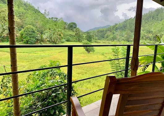 A serene view of a wooden chair on a deck overlooking a peaceful green landscape in Sri Lanka.