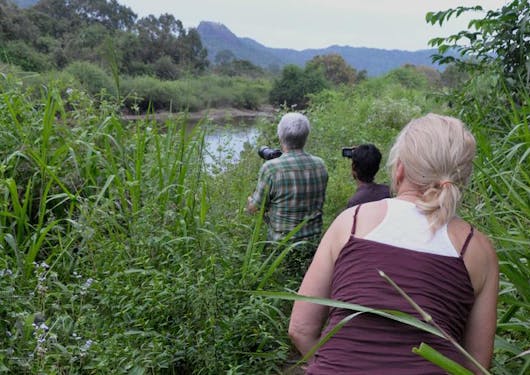 Adult travelers with a local guide walk through tall grass in a remote Buttala in Sri Lanka and use binoculars to spot wildlife.