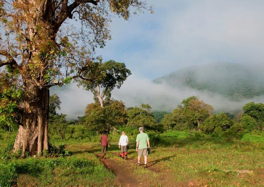 Adult travelers with an expert local guide walk along a dirt path in rural Sri Lanka looking for wildlife.
