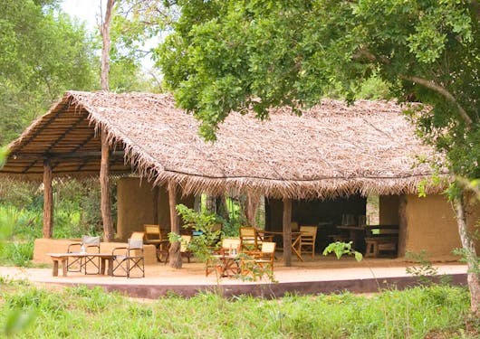Accommodation in a forest seen from a short distance, in Sri Lanka.