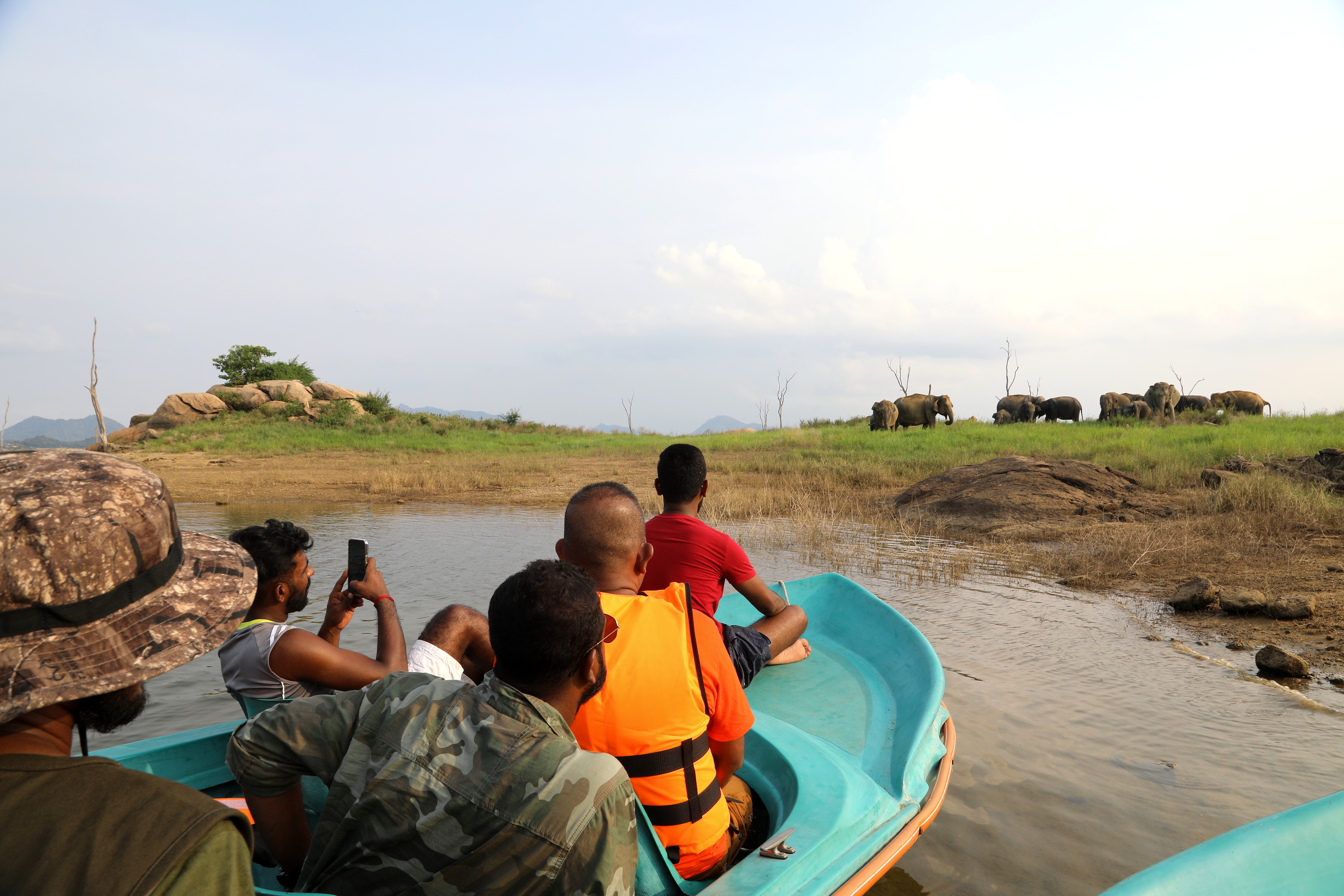 A boat safari sits close to shore, watching elephants in the distance in Sri Lanka.