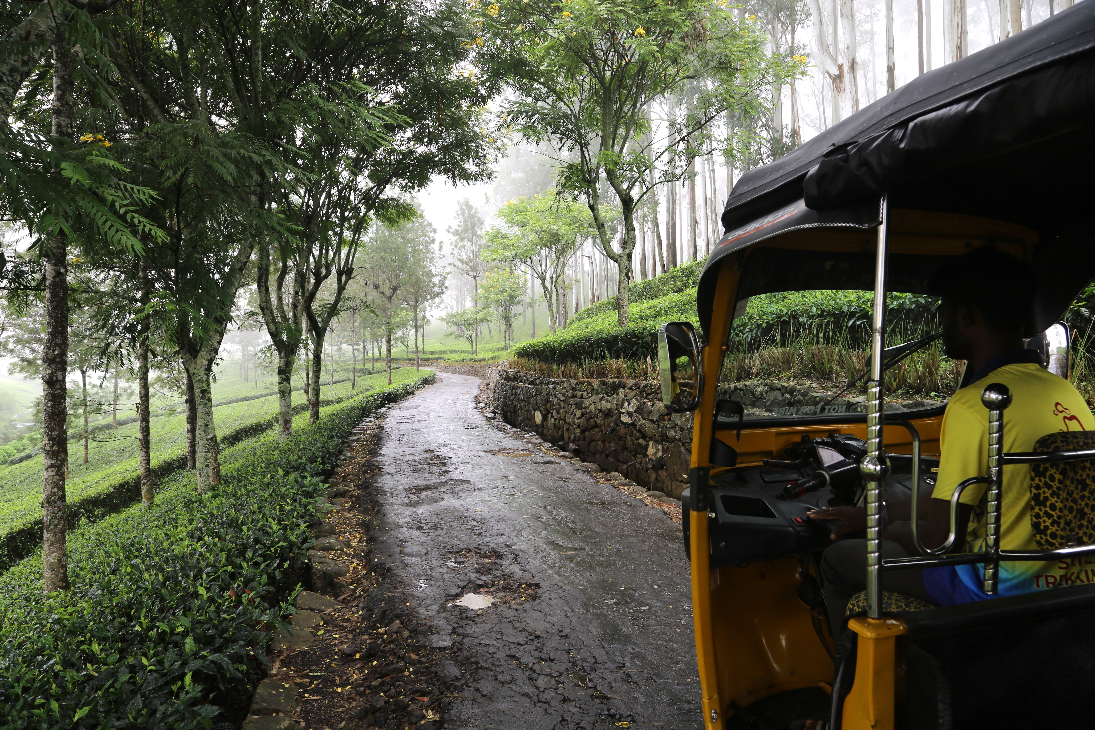 A tuktuk drives through misty tea plantations in Sri Lanka.