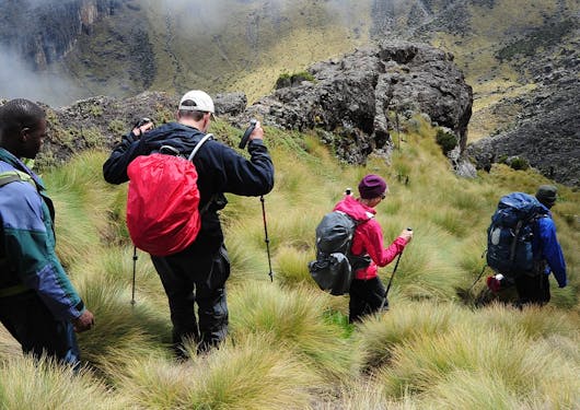 A walking safari in Kenya shows 4 adults walking through the bush together.